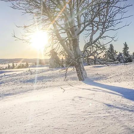 Διαμέρισμα Panorama Sjusjoen